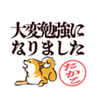 柴犬たかこ（デカ文字）（個別スタンプ：21）