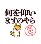 柴犬たかこ（デカ文字）（個別スタンプ：22）