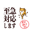 柴犬たかこ（デカ文字）（個別スタンプ：23）