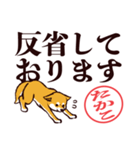 柴犬たかこ（デカ文字）（個別スタンプ：24）