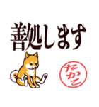 柴犬たかこ（デカ文字）（個別スタンプ：26）