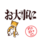 柴犬たかこ（デカ文字）（個別スタンプ：28）