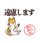 柴犬たかこ（デカ文字）（個別スタンプ：29）