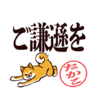 柴犬たかこ（デカ文字）（個別スタンプ：33）