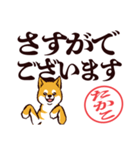 柴犬たかこ（デカ文字）（個別スタンプ：35）