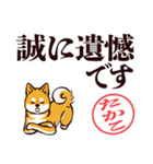 柴犬たかこ（デカ文字）（個別スタンプ：38）