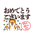 柴犬たかこ（デカ文字）（個別スタンプ：40）