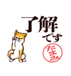 柴犬たまみ（デカ文字）（個別スタンプ：1）