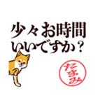 柴犬たまみ（デカ文字）（個別スタンプ：2）