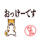 柴犬たまみ（デカ文字）（個別スタンプ：7）