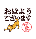 柴犬たまみ（デカ文字）（個別スタンプ：9）