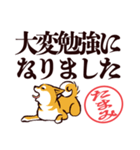 柴犬たまみ（デカ文字）（個別スタンプ：21）