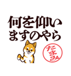 柴犬たまみ（デカ文字）（個別スタンプ：22）