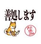 柴犬たまみ（デカ文字）（個別スタンプ：26）