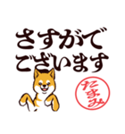 柴犬たまみ（デカ文字）（個別スタンプ：35）