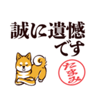 柴犬たまみ（デカ文字）（個別スタンプ：38）