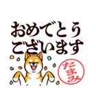 柴犬たまみ（デカ文字）（個別スタンプ：40）