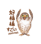 褒めるの時 使てスタンプ（個別スタンプ：7）