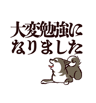 デカ文字くろしば（個別スタンプ：21）