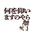 デカ文字くろしば（個別スタンプ：22）