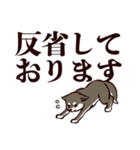 デカ文字くろしば（個別スタンプ：24）