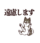 デカ文字くろしば（個別スタンプ：29）