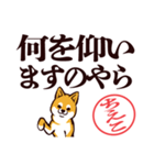 柴犬ちえこ（デカ文字）（個別スタンプ：22）