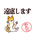 柴犬ちえこ（デカ文字）（個別スタンプ：29）