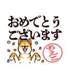 柴犬ちえこ（デカ文字）（個別スタンプ：40）