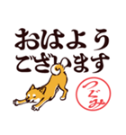 柴犬つぐみ（デカ文字）（個別スタンプ：9）