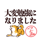 柴犬つぐみ（デカ文字）（個別スタンプ：21）