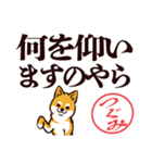 柴犬つぐみ（デカ文字）（個別スタンプ：22）