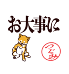 柴犬つぐみ（デカ文字）（個別スタンプ：28）