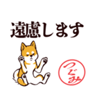 柴犬つぐみ（デカ文字）（個別スタンプ：29）