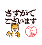 柴犬つぐみ（デカ文字）（個別スタンプ：35）