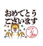 柴犬つぐみ（デカ文字）（個別スタンプ：40）