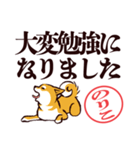 柴犬のりこ（デカ文字）（個別スタンプ：21）