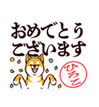 柴犬ひろこ（デカ文字）（個別スタンプ：40）