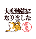 柴犬まきこ（デカ文字）（個別スタンプ：21）