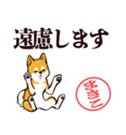 柴犬まきこ（デカ文字）（個別スタンプ：29）