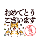 柴犬まきこ（デカ文字）（個別スタンプ：40）