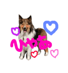 きなこの日常♡（個別スタンプ：5）