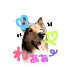 きなこの日常♡（個別スタンプ：14）