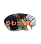 こくどリターンズ（個別スタンプ：6）