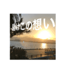 推しのために生きる         〜絶景ver〜（個別スタンプ：17）