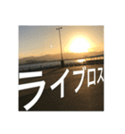 推しのために生きる         〜絶景ver〜（個別スタンプ：24）
