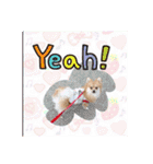 ポメラニアン♡で日常会話☆（個別スタンプ：34）