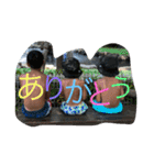 reruga3兄弟②（個別スタンプ：4）