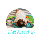 ゆあちゃんスタンプ完成版（個別スタンプ：7）