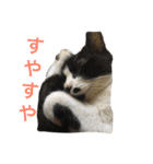 まはしゃいマミオ（個別スタンプ：2）